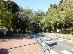 青山霊園・青山公園