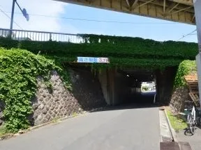 高架橋をくぐります。