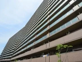 南からの外観