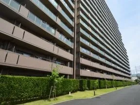 南からの外観