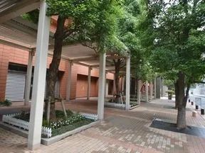 公開空地植栽