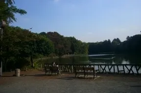 善福寺公園