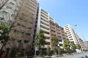 サウステラス、シーズンテラス