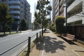 サウステラス前　歩道