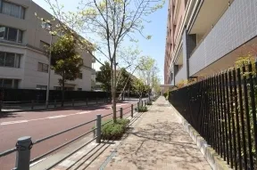 マスターズハウス前　歩道