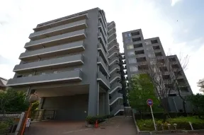 東からみた外観