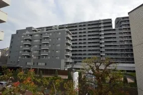 北からみた外観