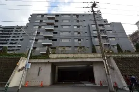 北からみた外観