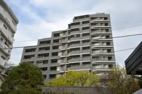 西からみた外観