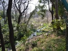 深大寺自然広場