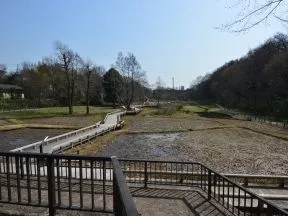 都立神代水生植物園
