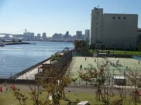 豊海テニス場