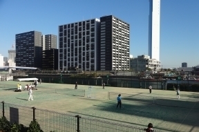 豊海テニス場