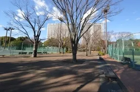 有明テニスの森