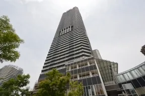 清澄通りより