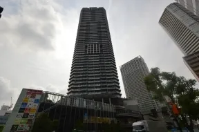 晴海通りより