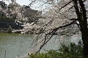 外濠公園