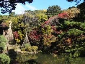 新江戸川公園