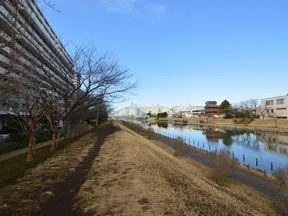 亀戸九丁目緑道公園