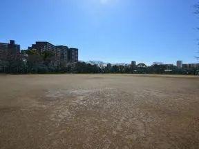 亀戸中央公園多目的球技広場