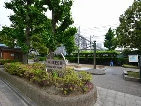 マンションと一体開発された本芝公園