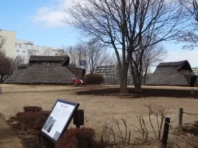 大塚・歳勝土遺跡公園