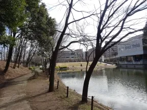 都筑中央公園