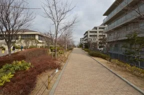 西側の遊歩道