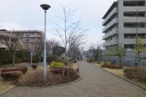 西側の遊歩道