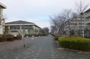 西側の遊歩道