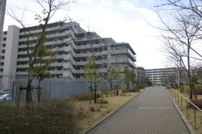 西側の遊歩道