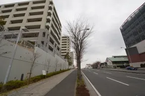 東側の歩道