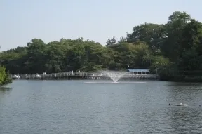 井の頭恩賜公園