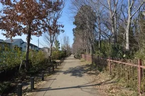 玉川上水