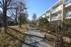 木漏れ日の路