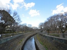 善福寺川緑地公園