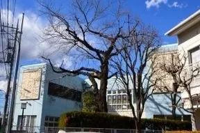 浜田山児童館