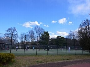 テニスコート(善福寺川緑地公園) 