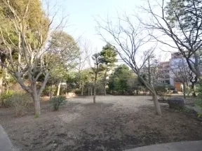 桜新町二丁目ウレシパモリ(市民緑地）