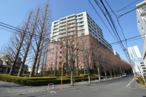 敷地南側からの外観