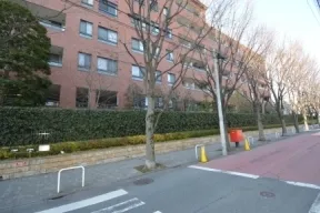 敷地東側の並木道