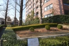 敷地南側の植栽