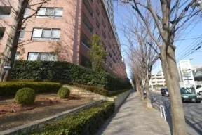 敷地東側の並木道