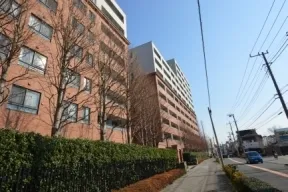 敷地西側から南方向の外観