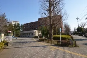 敷地北側の様子