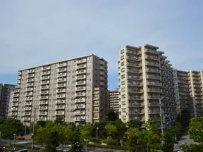 南側より撮影