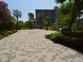 アイランドプラザ