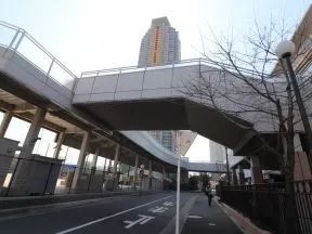 歩道橋の下の道を直進します