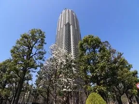 東側より