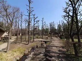 ガーデン